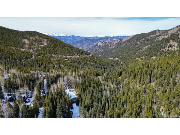 185 Columbine, Idaho Springs, CO 80452