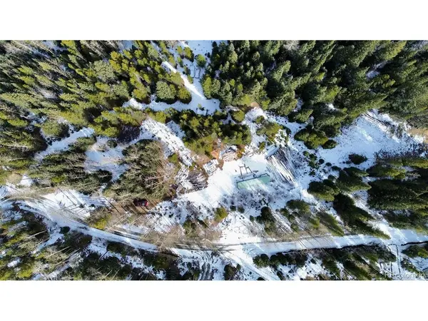 185 Columbine, Idaho Springs, CO 80452
