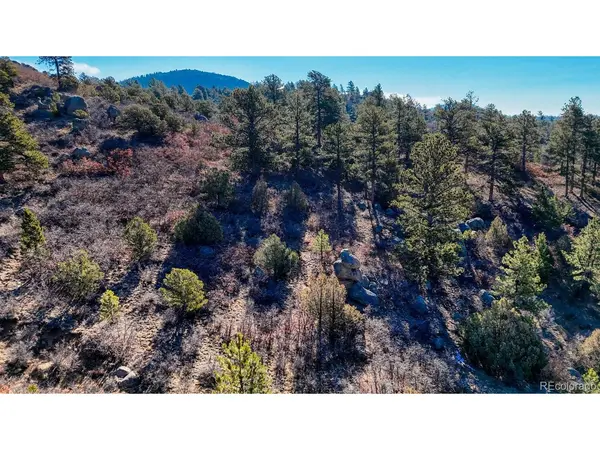 TBD Overlook, Cotopaxi, CO 81223