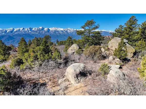 TBD Overlook, Cotopaxi, CO 81223