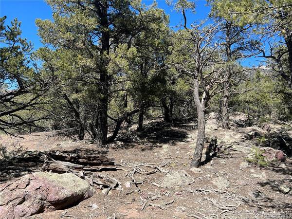 812 Goldmine Ol, Crestone, CO 81131