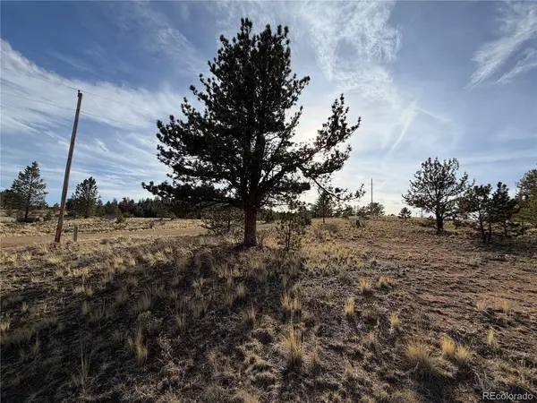 Mesa, Hartsel, CO 80449