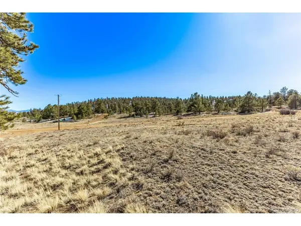 Spruce, Hartsel, CO 80449
