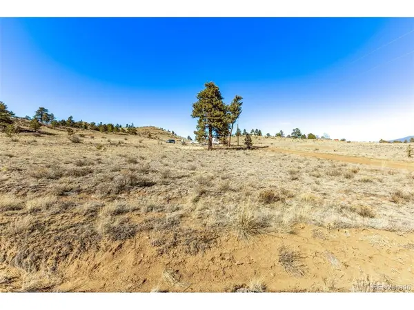 Spruce, Hartsel, CO 80449