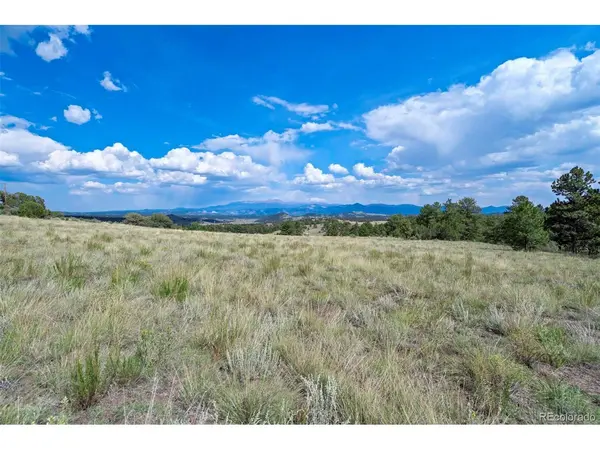 0 Witcher Mountain, Guffey, CO 80820