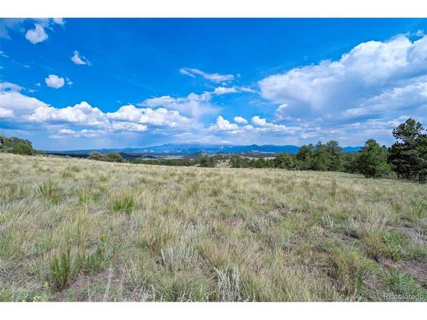 0 Witcher Mountain, Guffey, CO 80820