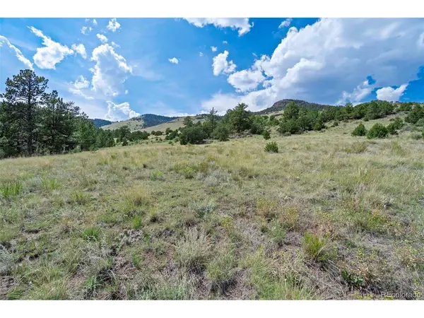 0 Witcher Mountain, Guffey, CO 80820