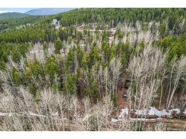 Ute, Evergreen, CO 80439