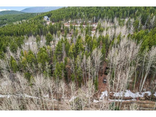 Ute, Evergreen, CO 80439