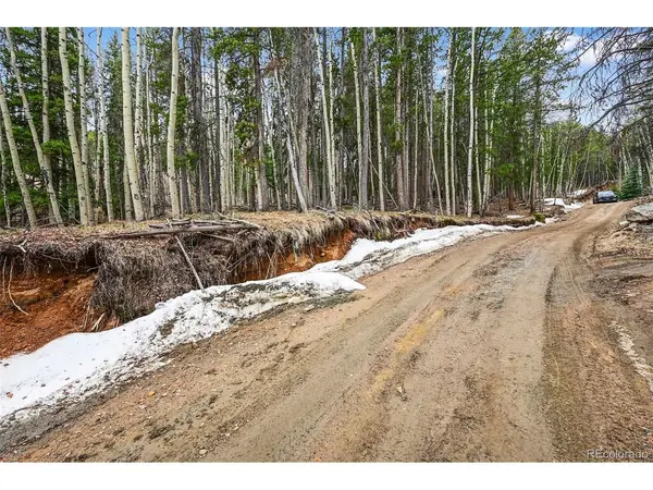 Ute, Evergreen, CO 80439