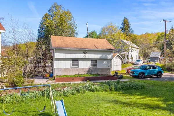43 Taylor RD, Parksville, NY 12768