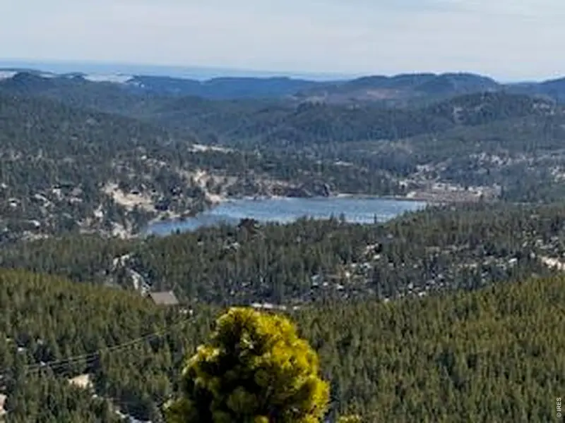 350 Mosquito, Red Feather Lakes, CO 80545