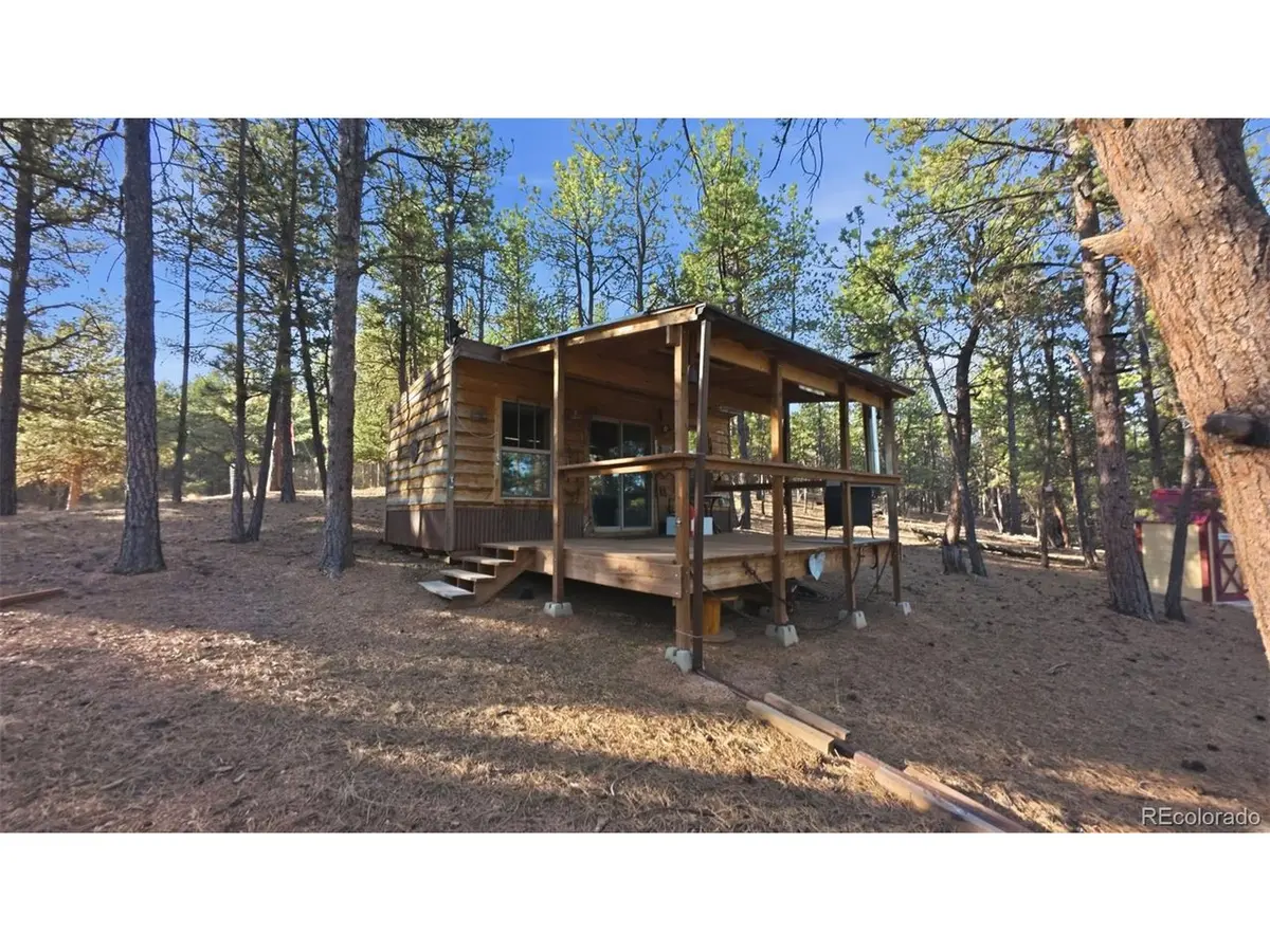 163 Ouray, Florissant, CO 80816