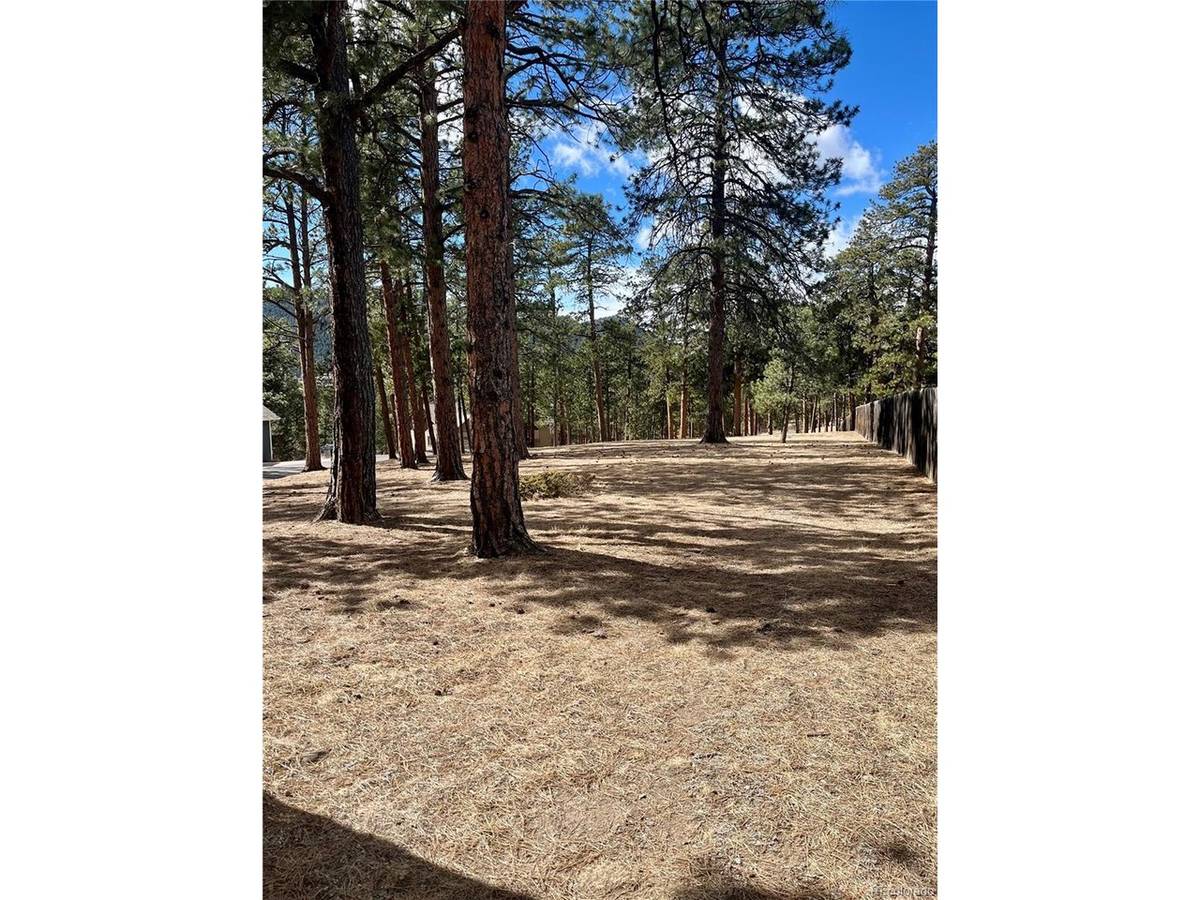 0 Pawnee, Indian Hills, CO 80454