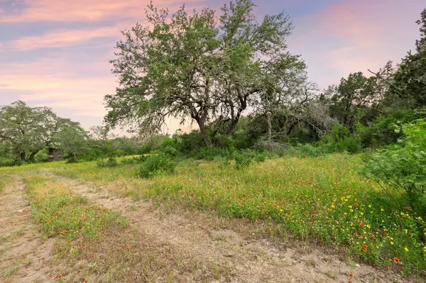 2308 County Road 414, Spicewood, TX 78669