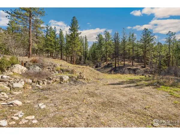 755 Fox Creek,  Glen Haven,  CO 80532