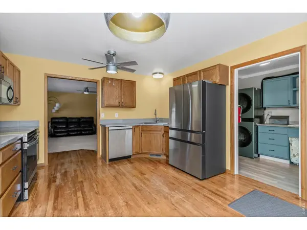 419 Ute Peak, Livermore, CO 80536