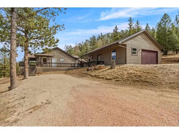 419 Ute Peak, Livermore, CO 80536