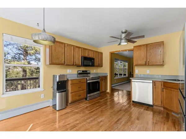 419 Ute Peak, Livermore, CO 80536