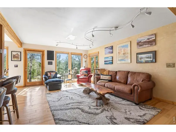 1856 Ridge, Nederland, CO 80466