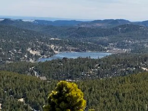 350 Mosquito,  Red Feather Lakes,  CO 80545