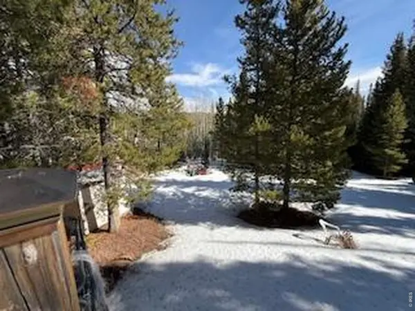 350 Mosquito, Red Feather Lakes, CO 80545