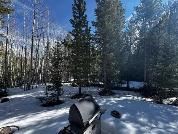 350 Mosquito, Red Feather Lakes, CO 80545
