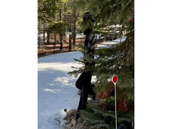 350 Mosquito, Red Feather Lakes, CO 80545