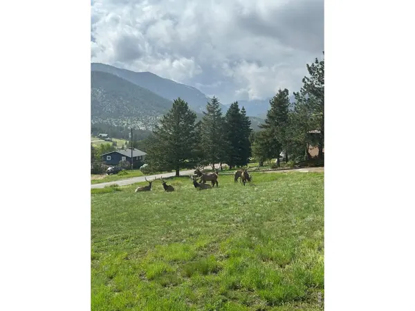 48 Button Rock, Lyons, CO 80540