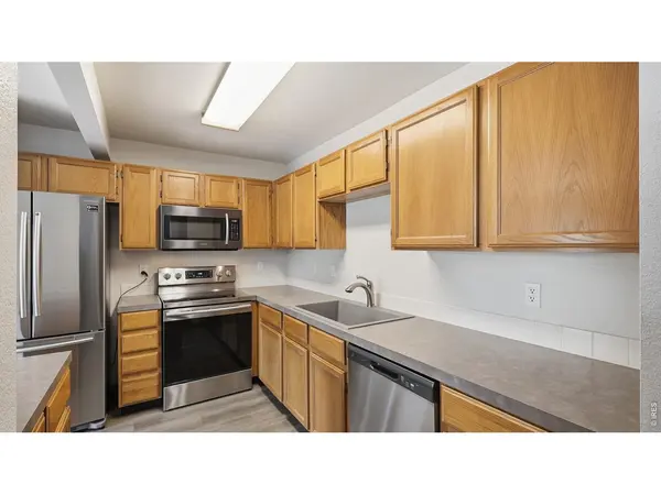 705 Apple, Windsor, CO 80550