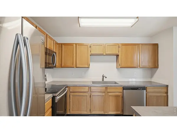 705 Apple, Windsor, CO 80550