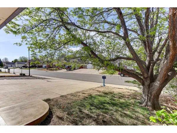 145 Falcon, Mead, CO 80542