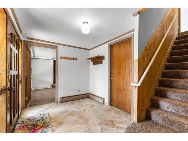 418 Athena, Black Hawk, CO 80422