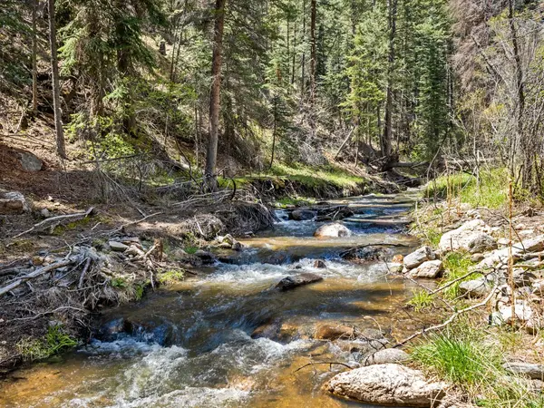 0 Fisherman, Glen Haven, CO 80532