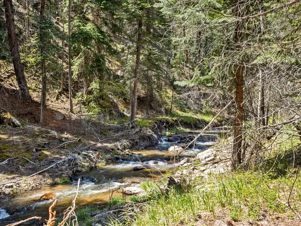 0 Fisherman, Glen Haven, CO 80532