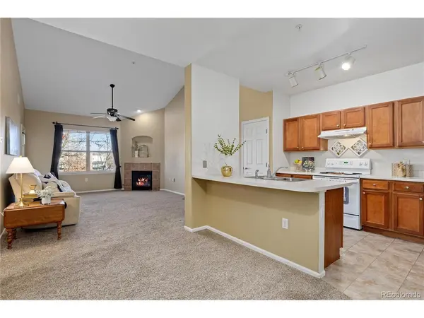 10841 Twenty Mile #206, Parker, CO 80134