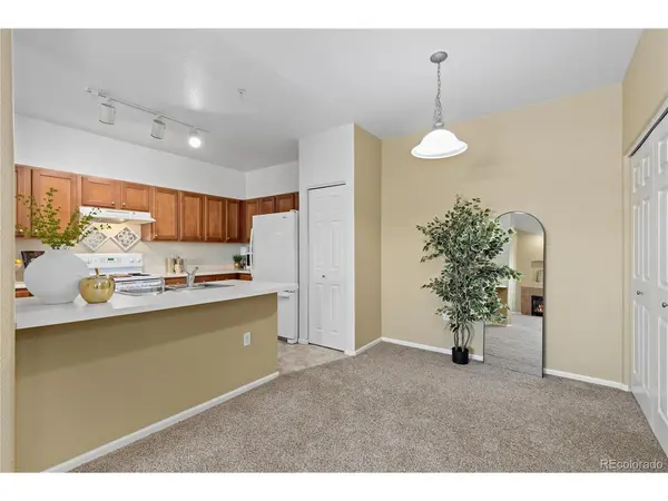 10841 Twenty Mile #206, Parker, CO 80134