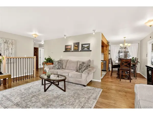 25807 Snyder, Conifer, CO 80433