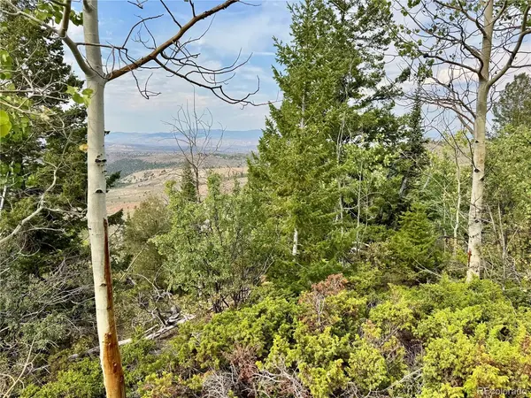 76 GCR 1301, Kremmling, CO 80459