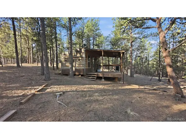 163 Ouray, Florissant, CO 80816