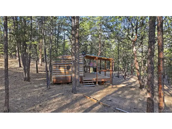 163 Ouray, Florissant, CO 80816