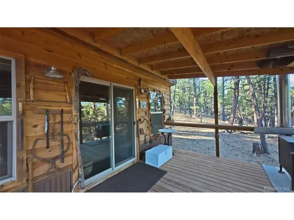 163 Ouray, Florissant, CO 80816