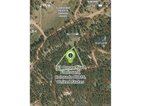 163 Ouray, Florissant, CO 80816