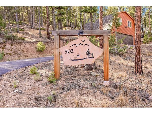 502 County Road 1034, Bailey, CO 80421