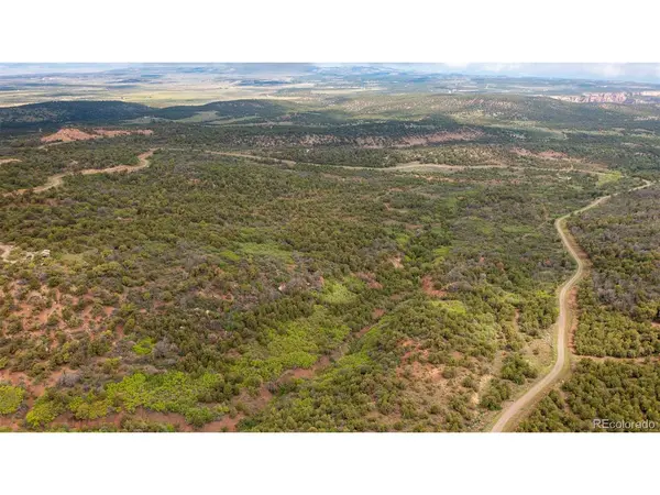 18973 Elk Reserve, Glade Park, CO 81523