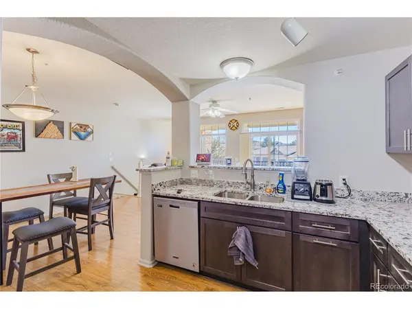 488 Black Feather #210, Castle Rock, CO 80104