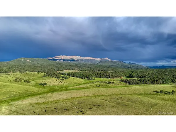 112 Will Scarlet, Divide, CO 80814