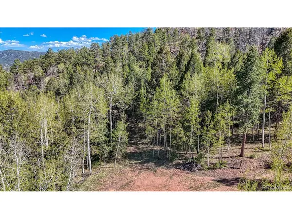 56 Fir, Florissant, CO 80816