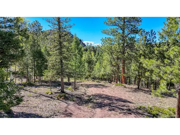 56 Fir, Florissant, CO 80816