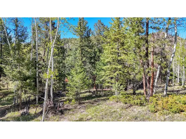 56 Fir, Florissant, CO 80816